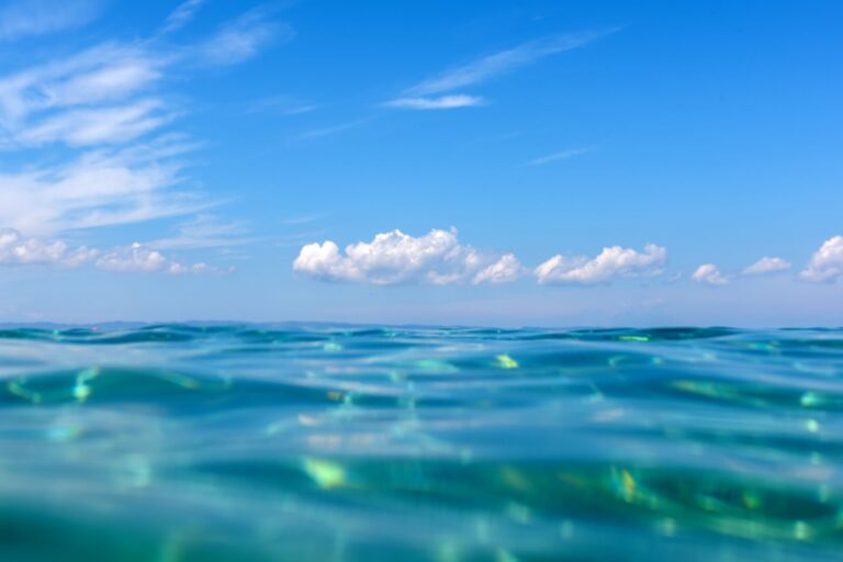 Conservación del mar